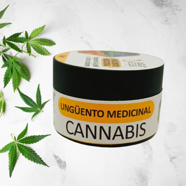 APICREAM POMADA MEDICINAL